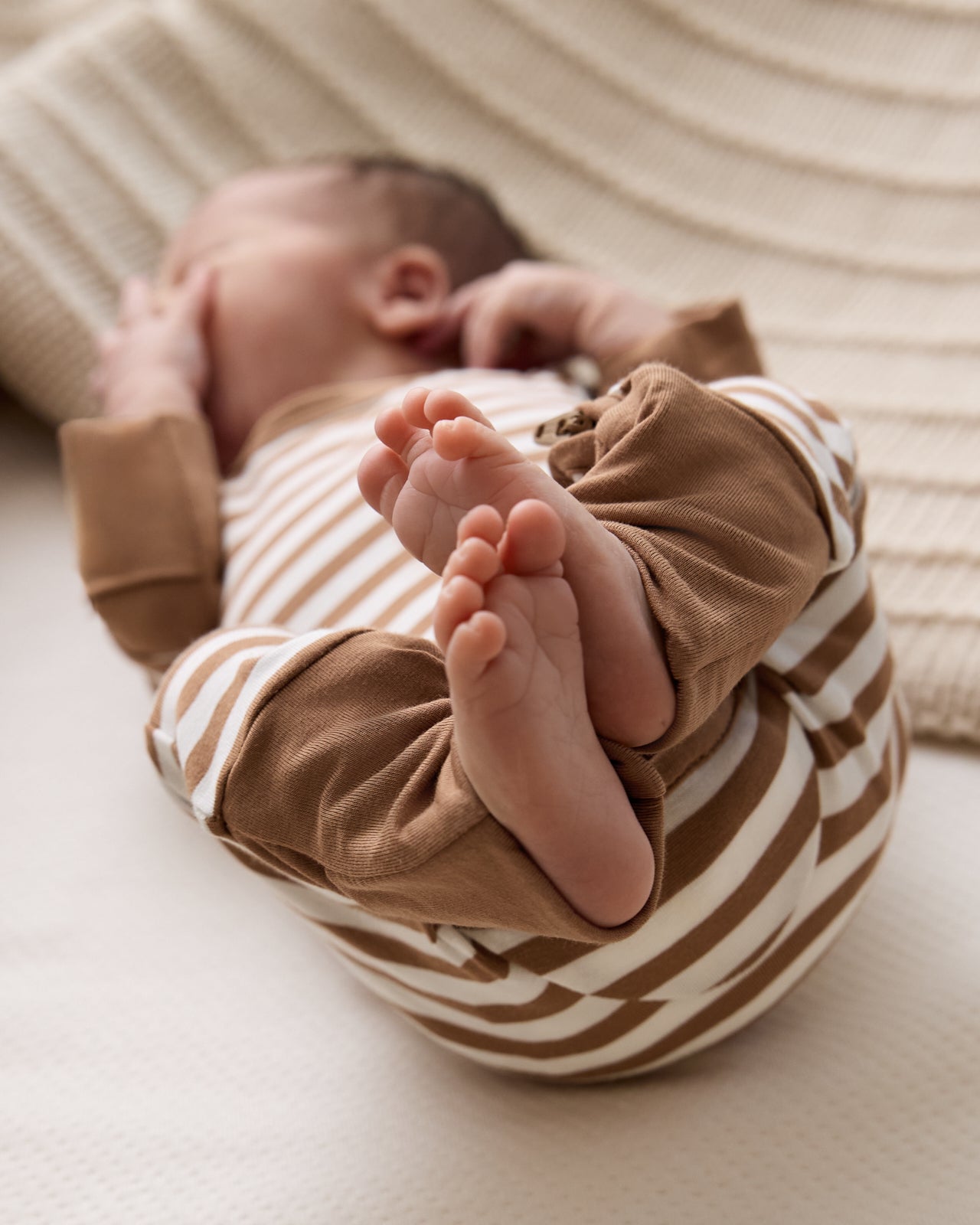 Chestnut Brown Stripe Crescent Zippy - Image 3