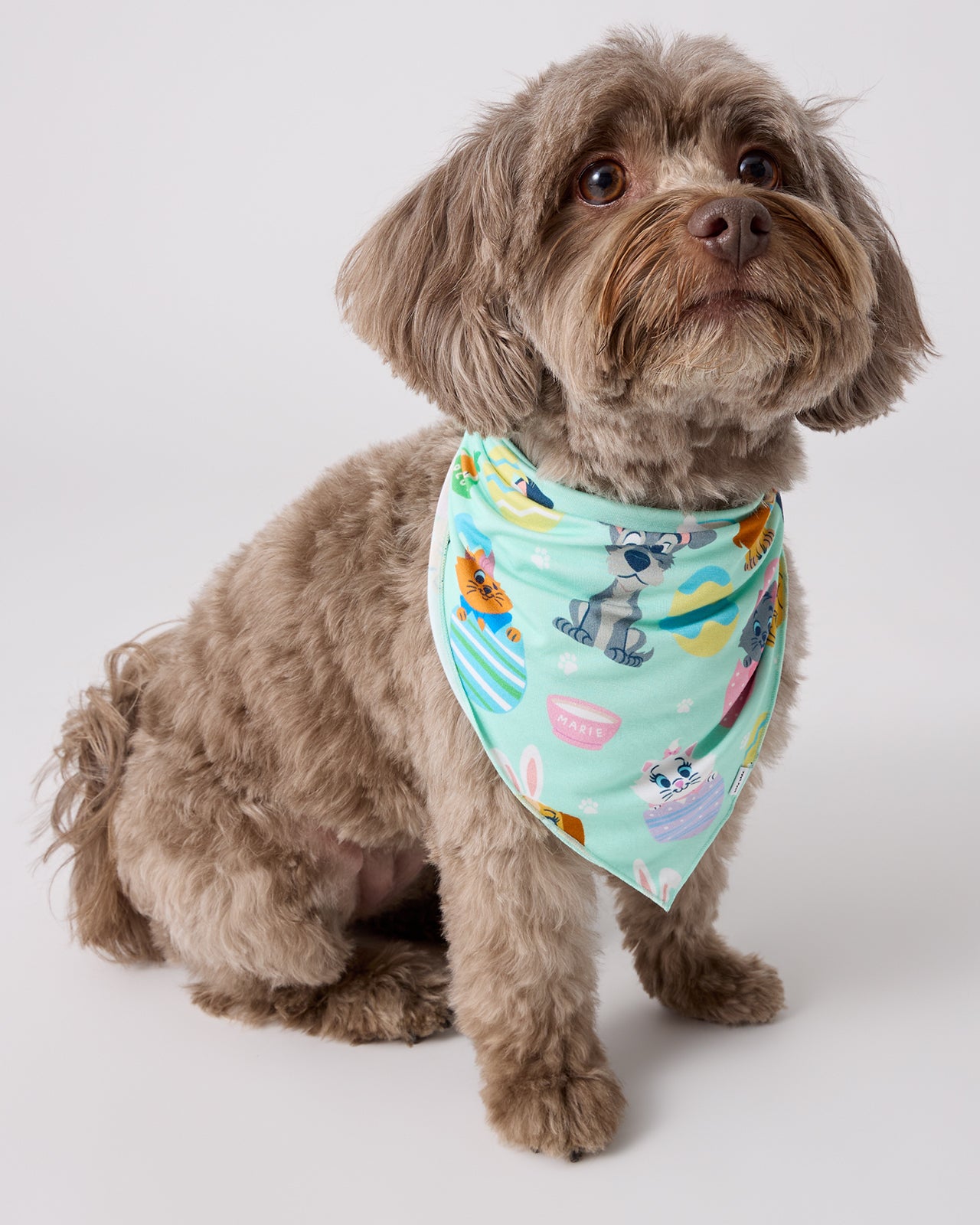 Disney Peekaboo Pets Pet Bandana