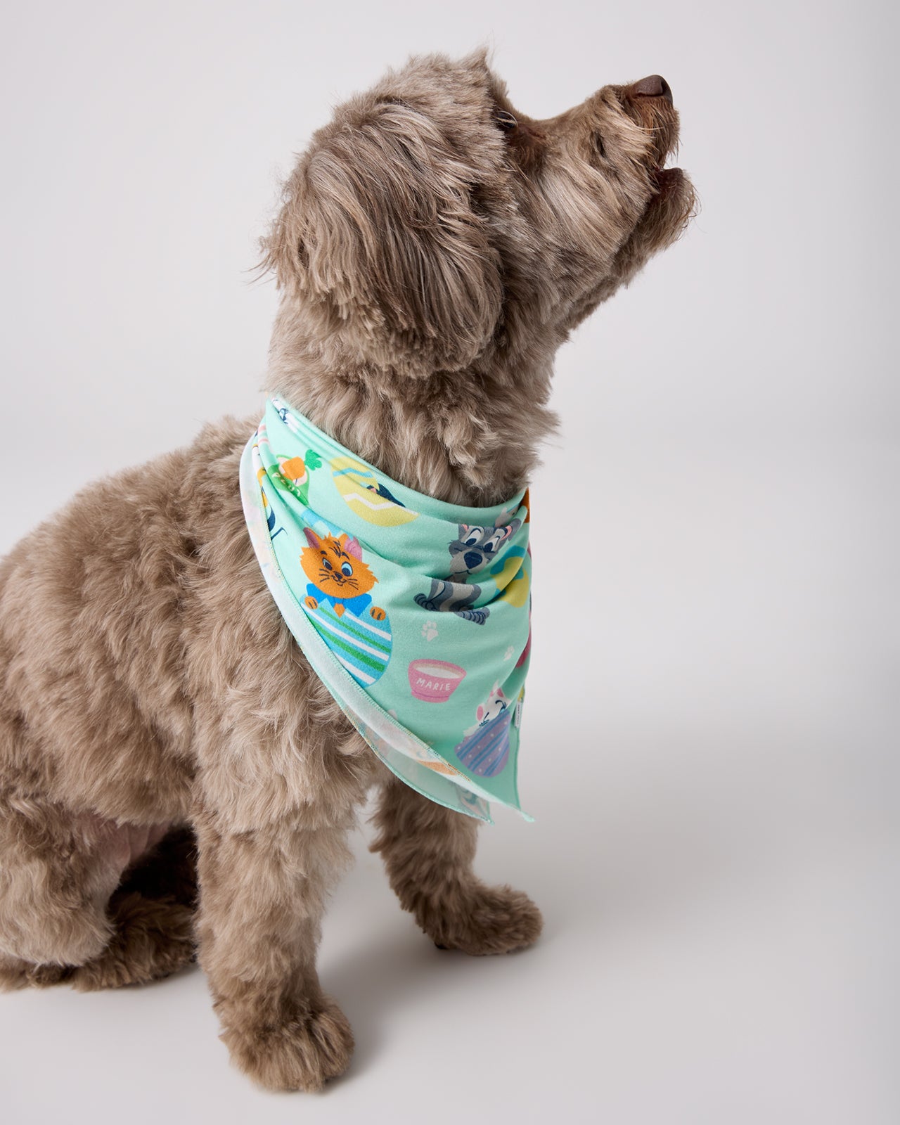 Disney Peekaboo Pets Pet Bandana - Image 2