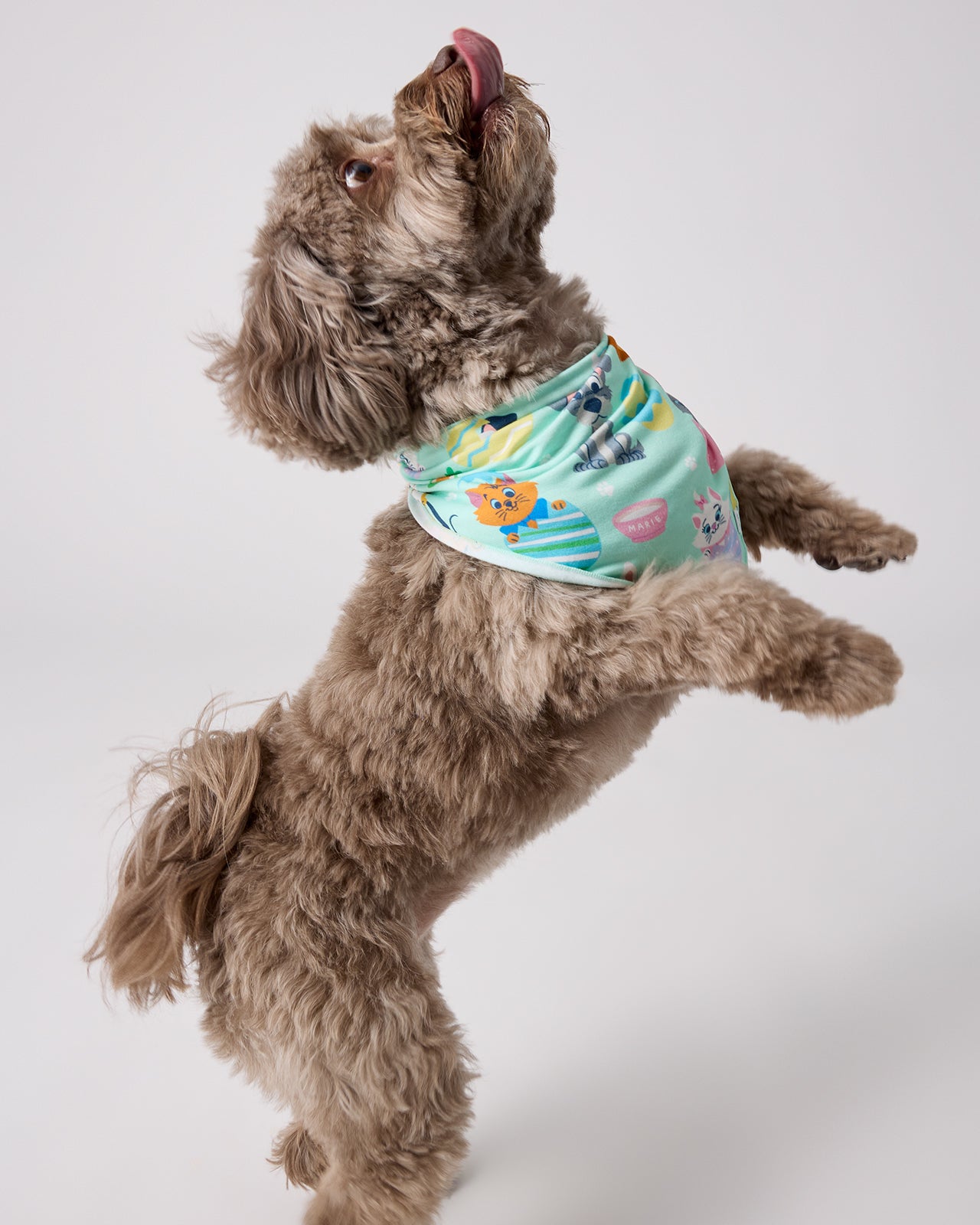 Disney Peekaboo Pets Pet Bandana - Image 3