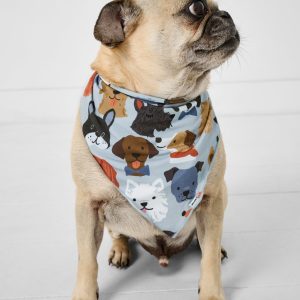 Gray Puppy Parade Pet Bandana