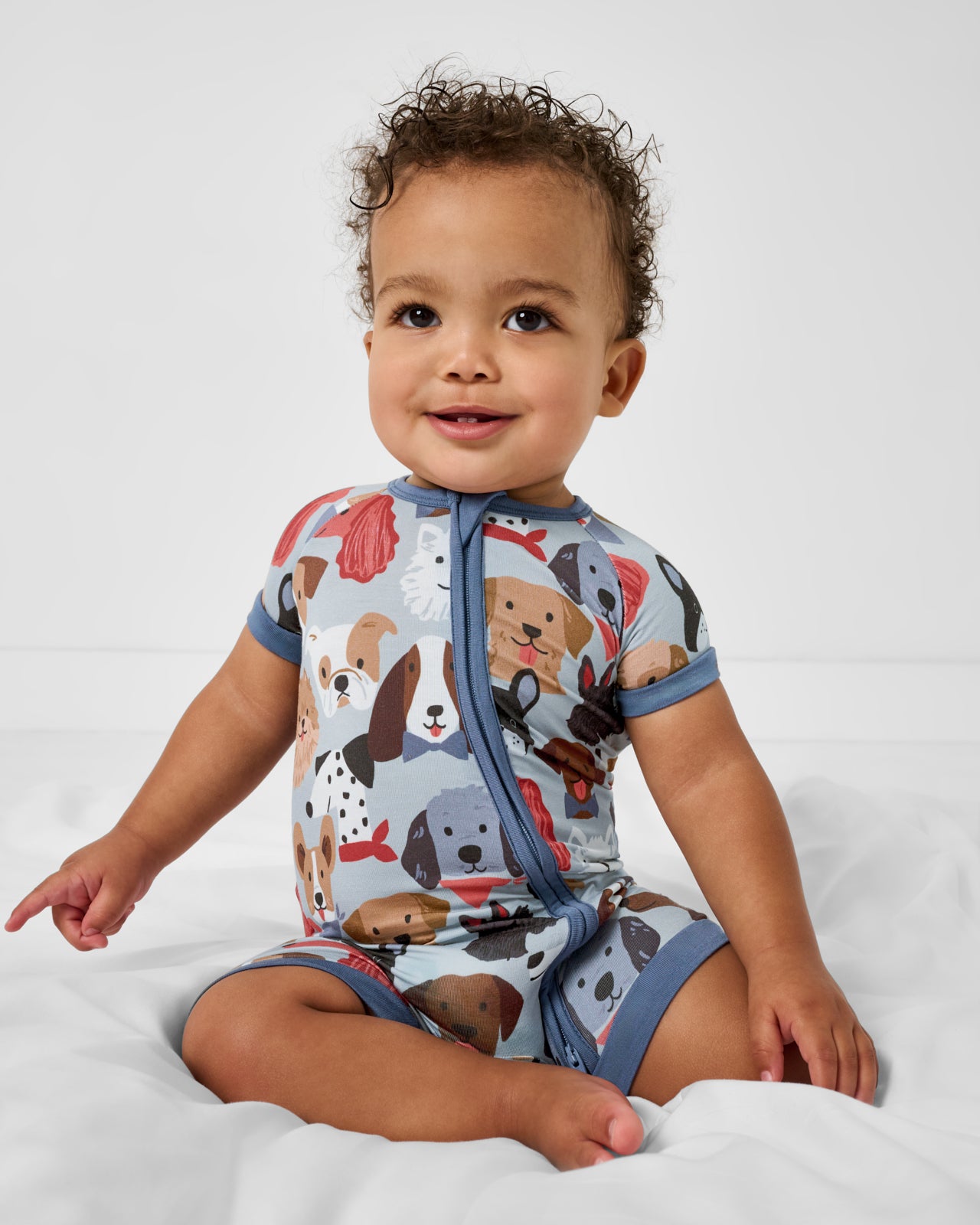 Gray Puppy Parade Shorty Zippy - Image 2