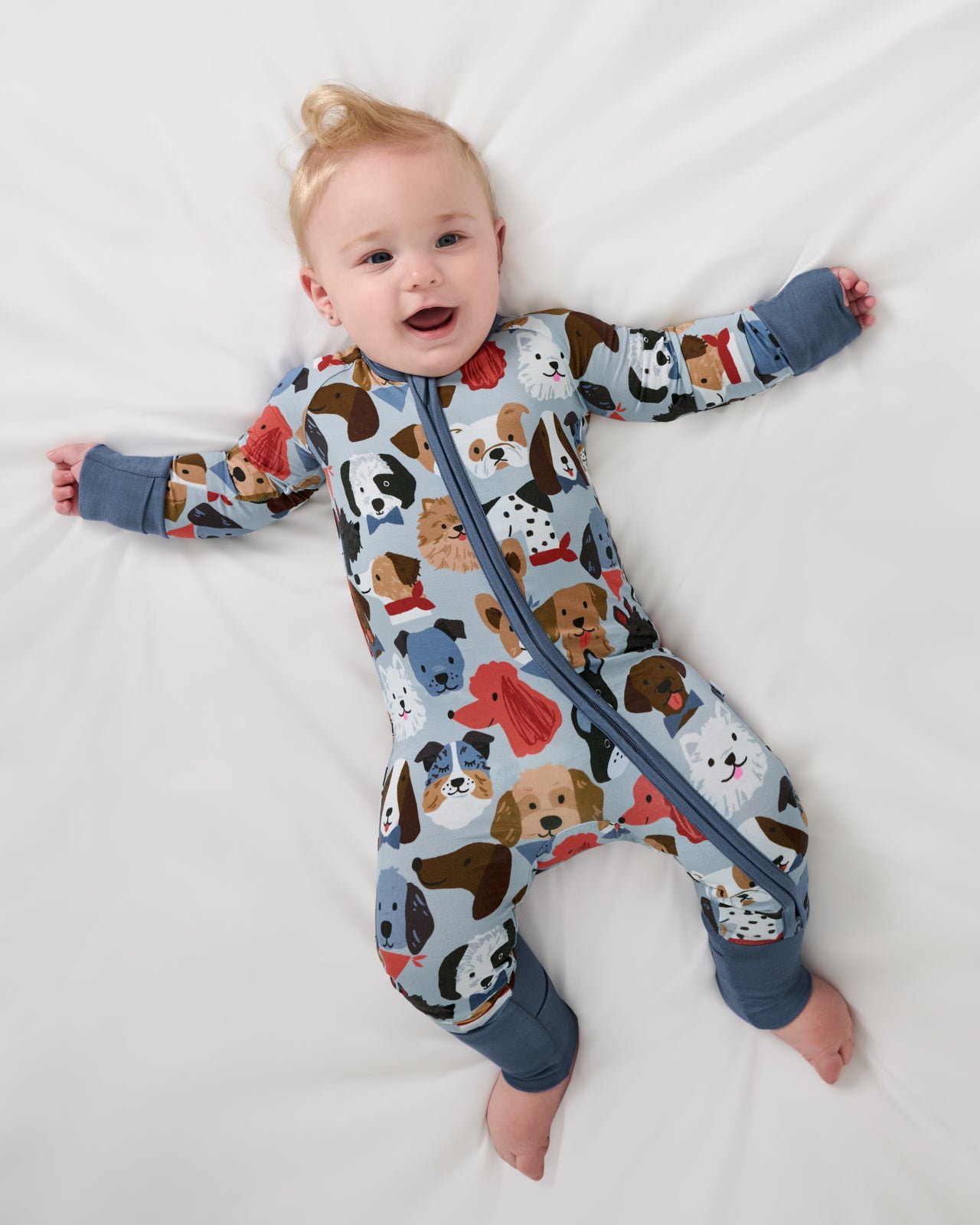 Gray Puppy Parade Zippy