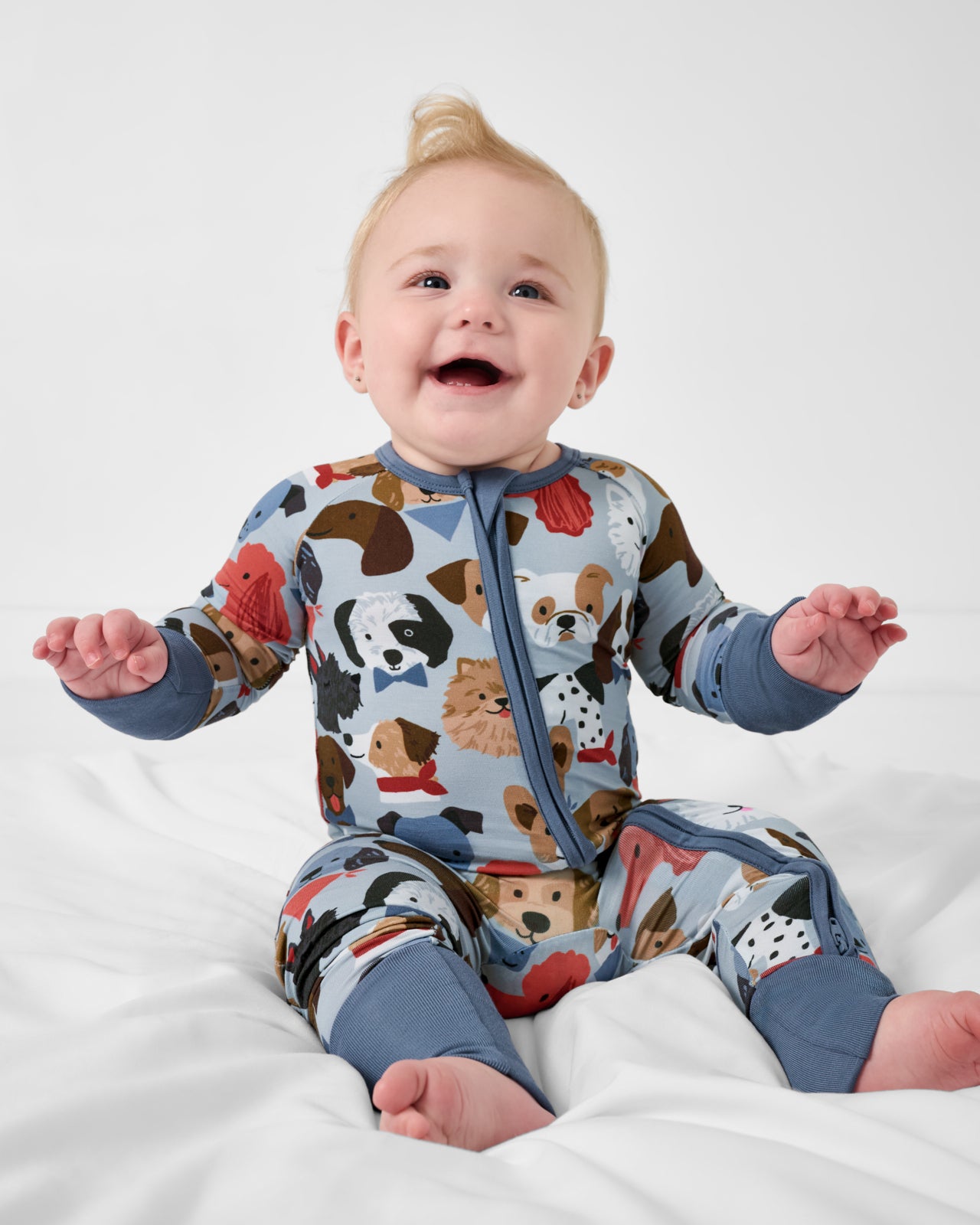 Gray Puppy Parade Zippy - Image 2