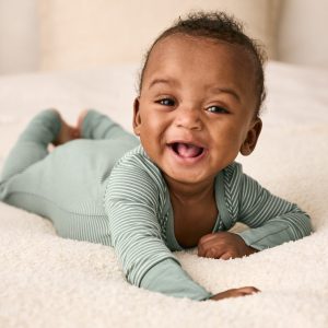 Willow Stripe Crescent Zippy