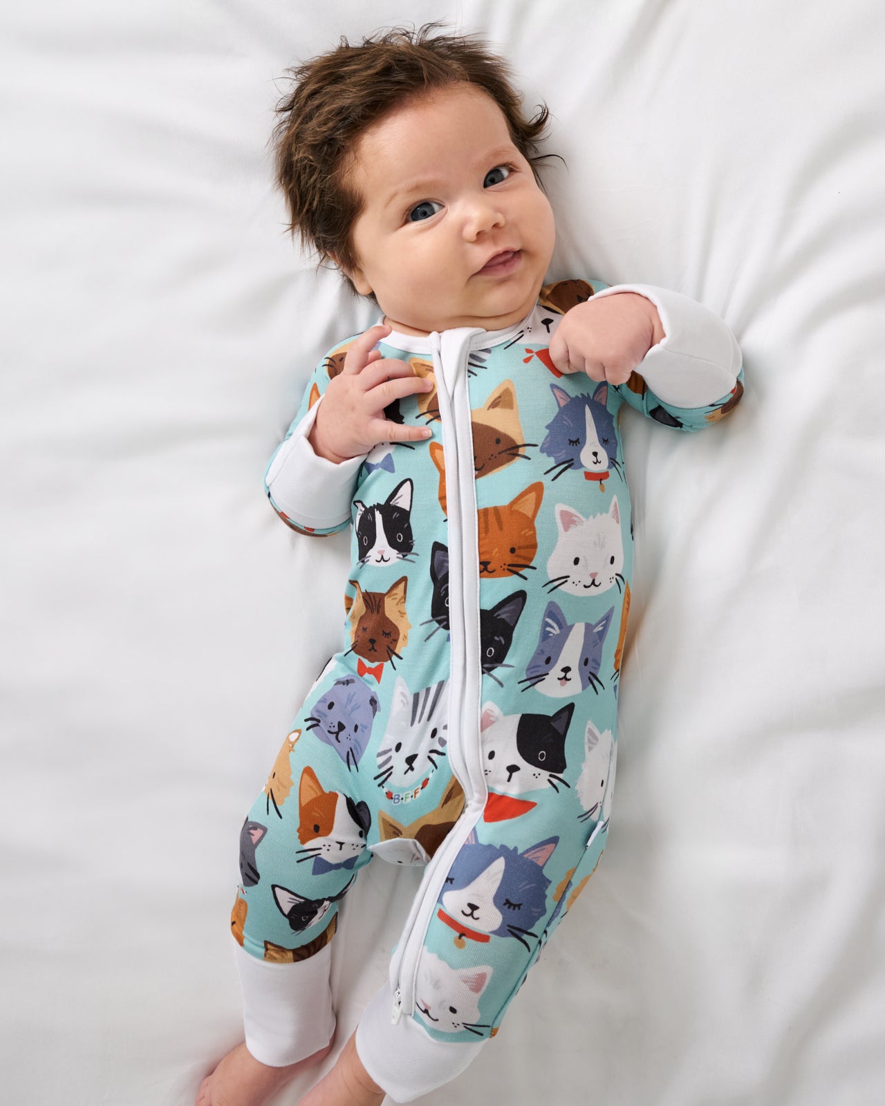 Purrfect Pals Zippy - Image 3