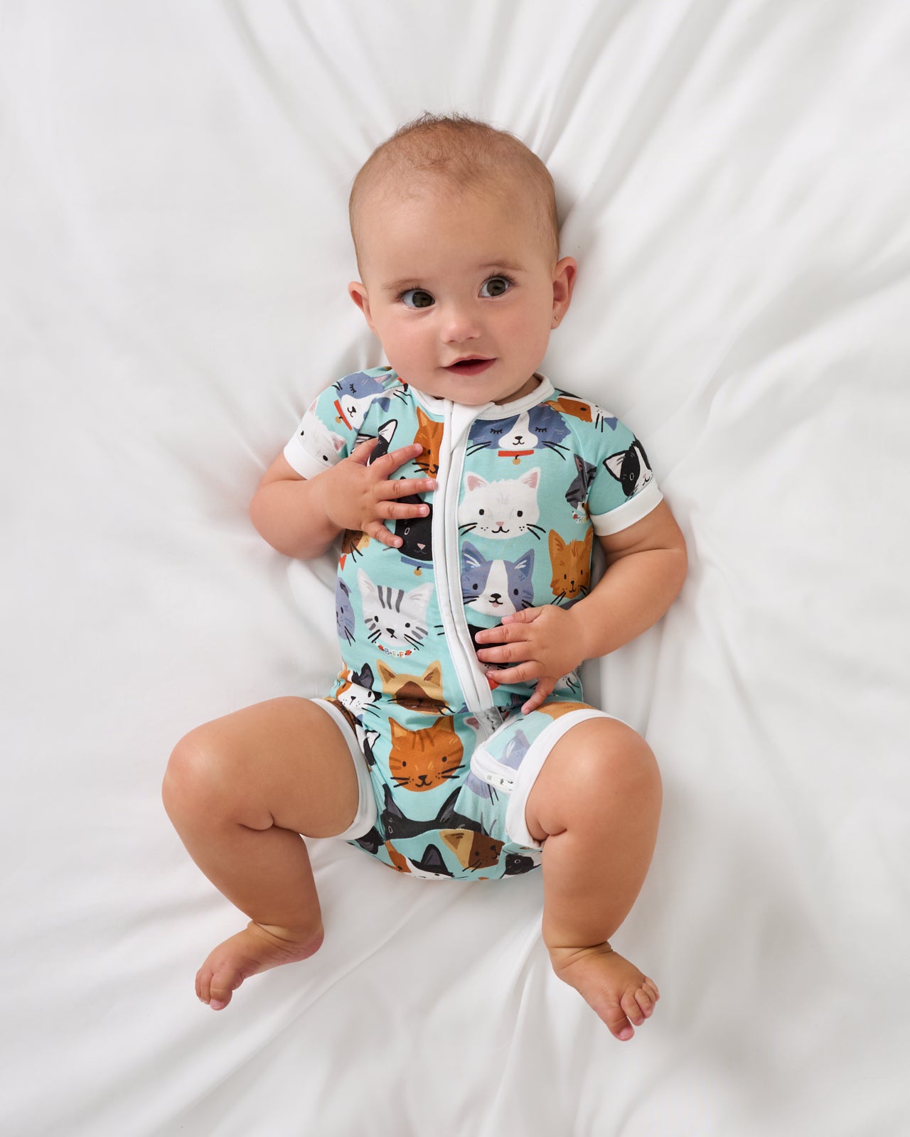 Purrfect Pals Shorty Zippy - Image 4