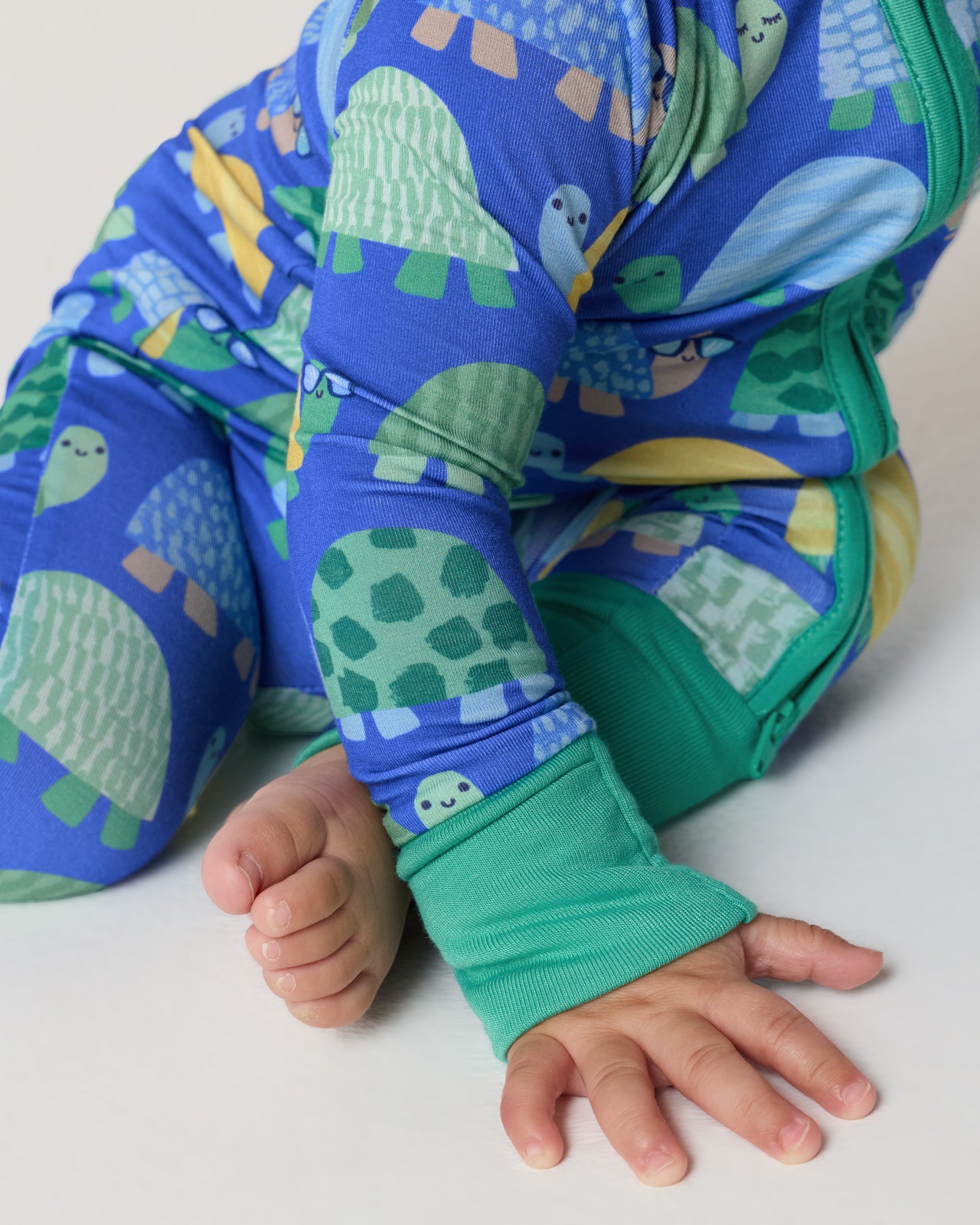 Shell Parade Zippy - Image 3