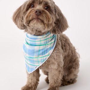 Springtime Plaid Pet Bandana