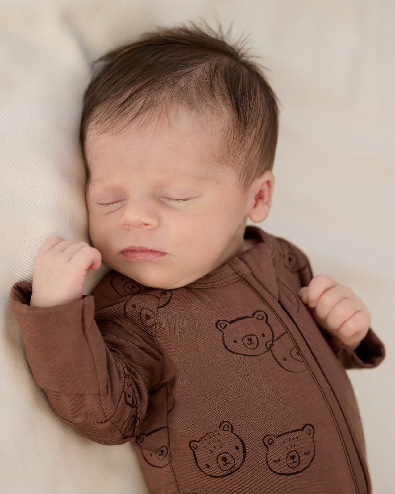 Teddy Tracks Zippy - Image 2