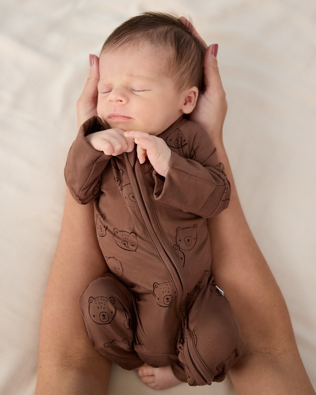 Teddy Tracks Zippy - Image 3